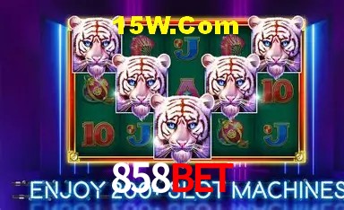 Experiência VIP 858Bet